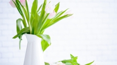 brooke-lark-210780@2x